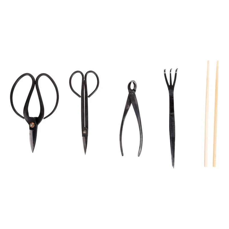 Werkzeugset Für Die Bonsaipflege, 5-teilig, Mit Aufbewahrungstasche 3 Werkzeugset Für Die Bonsaipflege, 5-teilig, Mit Aufbewahrungstasche – Bild 3