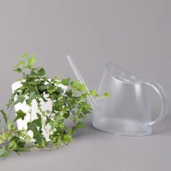 Hedera Helix In Keramiktopf Dallas Weiß, Topf-Ø 12/13 Cm, 3er-Set -Garten Sicht Verkäufe 0220650241 Hedera gruen in Topf Dallas weiss 3