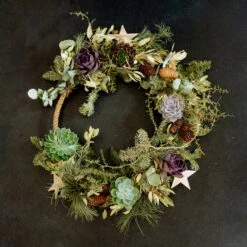 Schnitt-Echeveria Mix, 5 Stück In DIY Box, 7-10 Cm Ø -Garten Sicht Verkäufe 0250103364 Echeveria Mix 7 10cm in DIY Box 5 117175 4