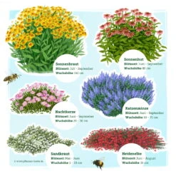 Insektenfreundliches Stauden Set, 18 Pflanzen Für 3 M², Bunt -Garten Sicht Verkäufe 0319100525 Insektengarten Stauden Mix 1 Set 18 Pflanzen 3 124760