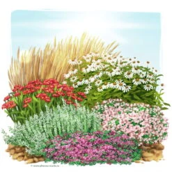 Trockenresistente Stauden Set, 18 Pflanzen Für 3 M², Bunt