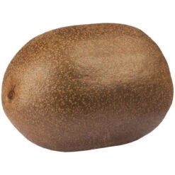 Gelbfruchtige Kiwi 'Golden Kiwi', 2er-Set, Topf 15 Cm Ø -Garten Sicht Verkäufe 0480960140 0480960142 Golden Kiwi 87664