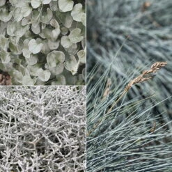 Mixtopf 'Silberstruktur', 3er-Set, Grau-silber, Topf 13 Cm Ø -Garten Sicht Verkäufe 0610180261 0610180262 Mixtopf Mixschale Silberstruktur 95076