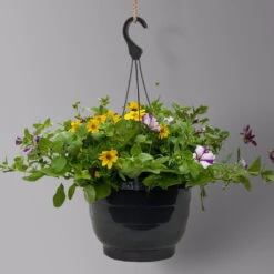 Gemischte Sommerblumen-Ampel, Farbe/n Nach Verfügbarkeit, Ampeltopf-Ø 25/27 Cm -Garten Sicht Verkäufe 0619140037 BB Mix Ampel T27 gelb lila weiss 2 126077