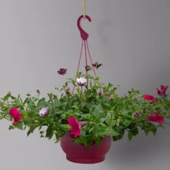 Gemischte Sommerblumen-Ampel, Farbe/n Nach Verfügbarkeit, Ampeltopf-Ø 25/27 Cm -Garten Sicht Verkäufe 0619140037 BB Mix Ampel T27 pink lila 2 126075