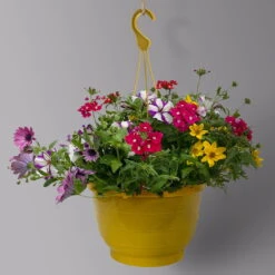 Gemischte Sommerblumen-Ampel, Farbe/n Nach Verfügbarkeit, Ampeltopf-Ø 25/27 Cm -Garten Sicht Verkäufe 0619140037 BB Mix Ampel T27 rot lila gelb 2 126081
