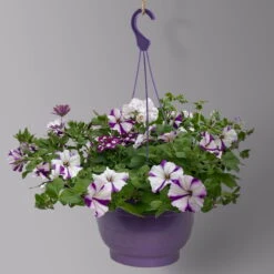 Gemischte Sommerblumen-Ampel, Farbe/n Nach Verfügbarkeit, Ampeltopf-Ø 25/27 Cm -Garten Sicht Verkäufe 0619140037 BB Mix Ampel T27 weiss lila 2 126079