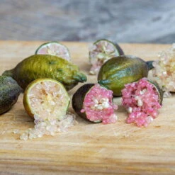 Fingerlimette, Topf-Ø 20 Cm, Höhe Ca.60 Cm -Garten Sicht Verkäufe 0630100735 Citrus australasica Stamm T20 H60 70 WS 4 98316 1