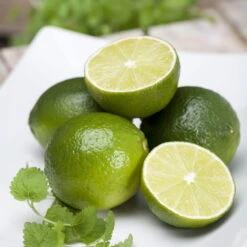 Echter Limettenbaum, Stamm, Topf-Ø 20 Cm, Höhe Ca. 60 Cm -Garten Sicht Verkäufe 0630300012 Citrus aurantifolia Stamm T20 gruene Limette 2 114793