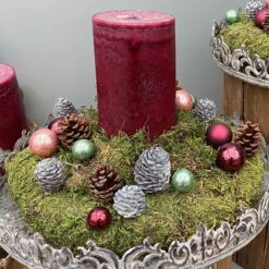 Waldmoos In Der Holzkiste, Ca. 25x13x7 Cm, 4er-Set -Garten Sicht Verkäufe 066110 Moose Anwendungsbeispiele 4 100798