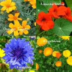 Blumensamen-Set Gourmet Blumen, Essbar, Bienenfreundlich, Dekorativ -Garten Sicht Verkäufe 0710403583 Blumensamen Set Gourmet Blumen 4essbare Sorten mit organ Duenger 5 60480