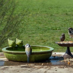 Vogeltränke Rund M, Grün, Keramik