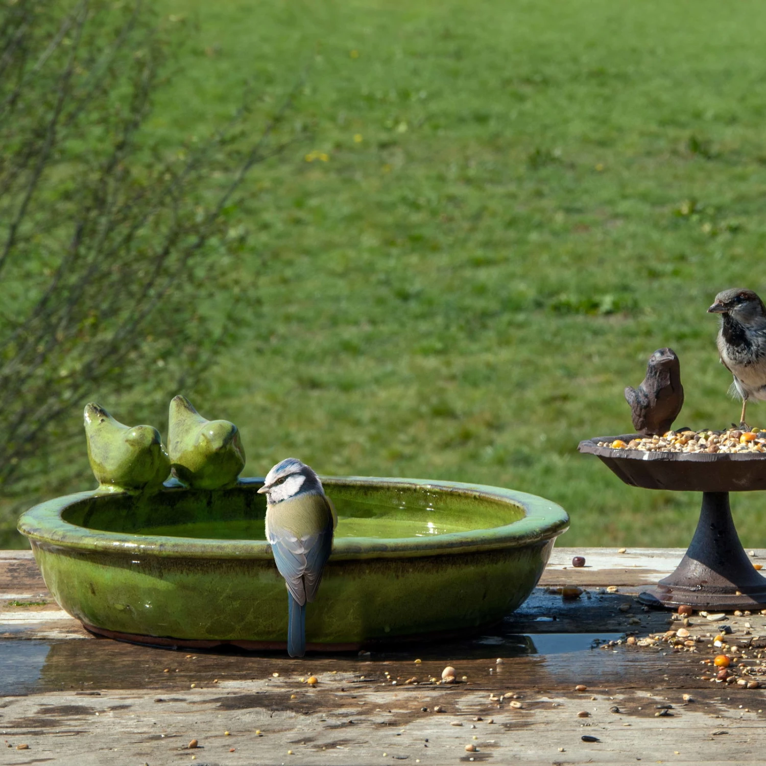 Vogeltränke Rund M, Grün, Keramik 1 Vogeltränke Rund M, Grün, Keramik