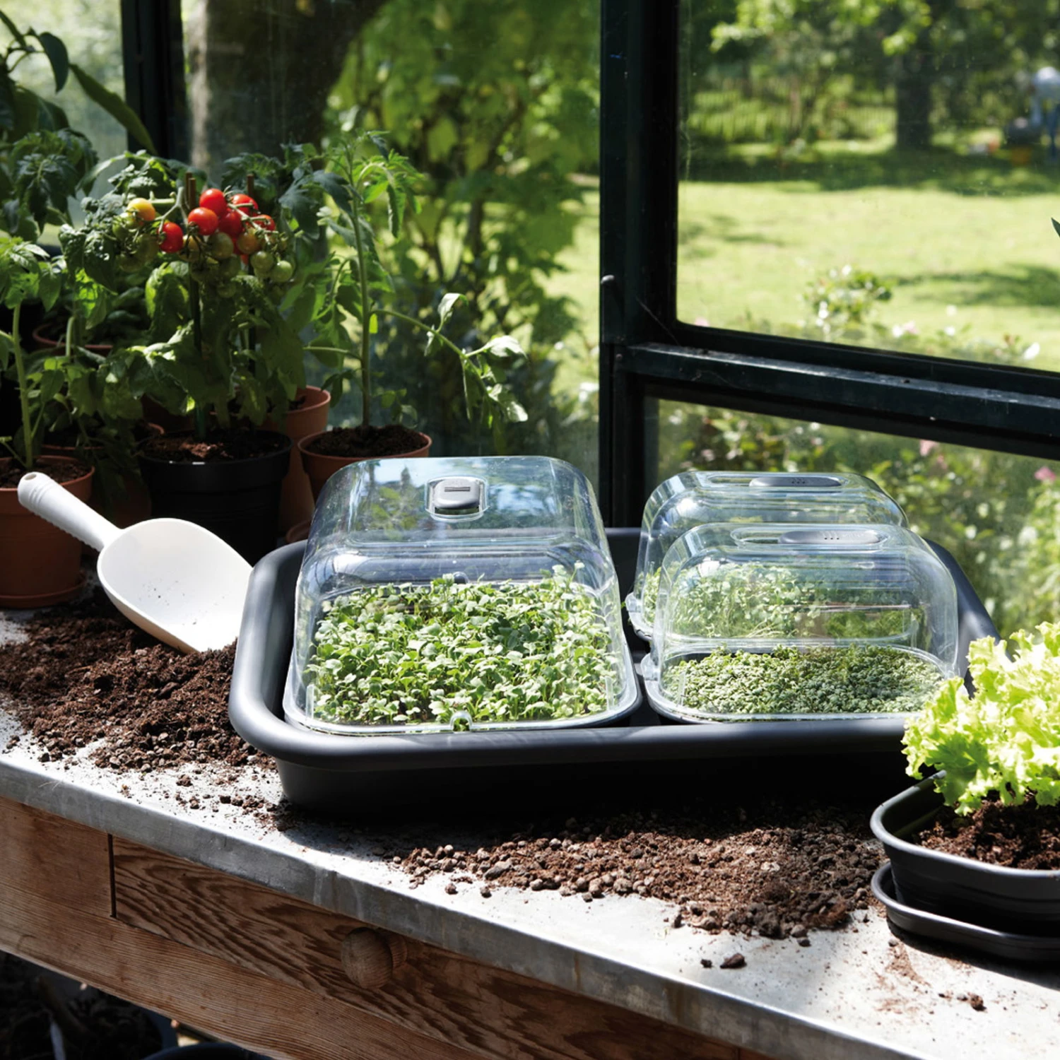 Elho Anzucht-Tablett Green Basics Living Black, Ca. 59x41,9x11,1 Cm, Erdvol. 9,5 L 2 Elho Anzucht-Tablett Green Basics Living Black, Ca. 59x41,9x11,1 Cm, Erdvol. 9,5 L – Bild 2