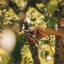 Fiskars Schere 'Plus PowerLever', Schwarz/orange -Garten Sicht Verkäufe 0920300707 Plus PowerLever Metall Bypass Gartenschere 3 106801