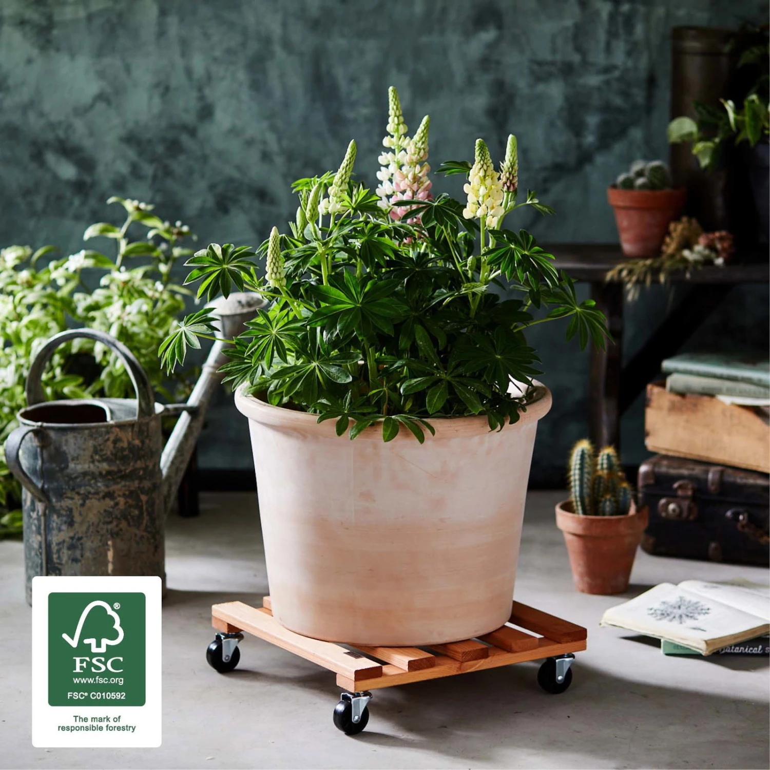 Multi Roller, Tragkraft 120 Kg, Hellbraun, Ca. 10 X 38 X 38 Cm 2 Multi Roller, Tragkraft 120 Kg, Hellbraun, Ca. 10 X 38 X 38 Cm – Bild 2