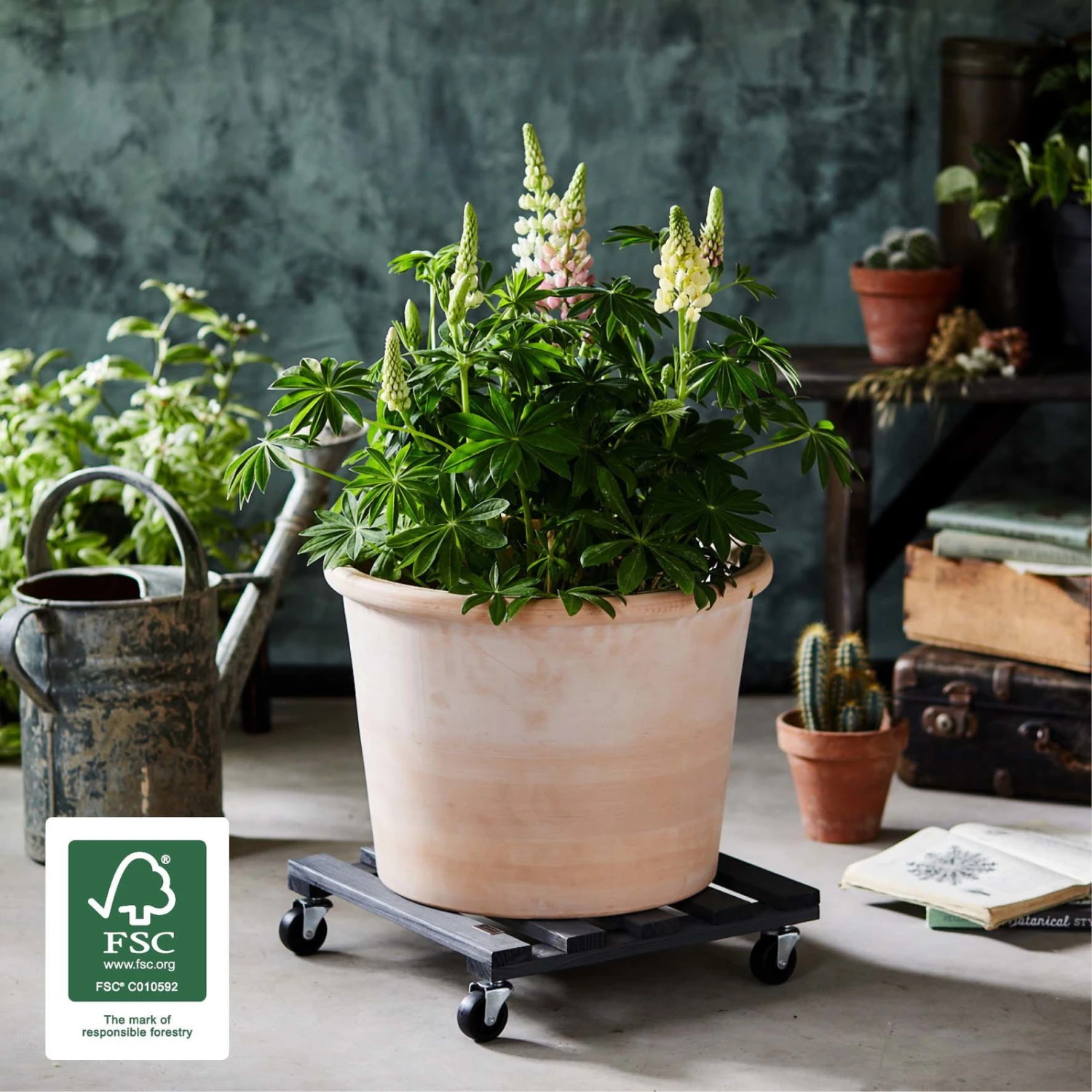 Multi Roller, Tragkraft 120 Kg, Anthrazit, Ca. 10 X 38 X 38 Cm 2 Multi Roller, Tragkraft 120 Kg, Anthrazit, Ca. 10 X 38 X 38 Cm – Bild 2