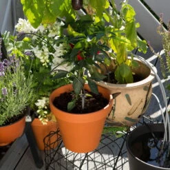 Gardena Urlaubsbewässerung City-Gardening, Bis Zu 36 Töpfe, Transformator, Zeitschaltuhr -Garten Sicht Verkäufe 0930100238 city Gardening Urlaubsbewaesserung fuer bis zu 36 Topfpflanzen 3 61508