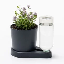 Kräuterheld, Anthrazit, PP/PET, 14 X 14 X 22 Cm -Garten Sicht Verkäufe 0930101631 Kraeuterheld anthrazit1 116321