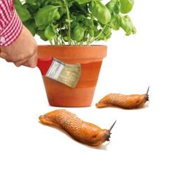 Schnexagon, Anstrich Gegen Schnecken, 375 Ml -Garten Sicht Verkäufe 0950300991 Schnexagon 375ml 1 94152