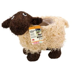 Pflanztopf 'Shelly Sheep', Ca. 26 X 35 X 15 Cm -Garten Sicht Verkäufe 0980306618 Shelly Sheep 1 99252