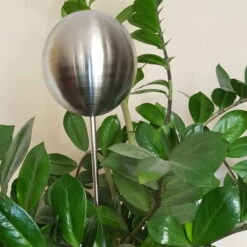 Beetstecker Rosenkugel, 10 Cm, Edelstahl / Matt Gebürstet, Rosenstab 80 Cm