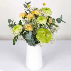 Gemischter Blumenbund 'Grüne Schönheit' Inkl. Gratis Grußkarte -Garten Sicht Verkäufe 1025700013 DIY Mixbund Gruene Schoenheit Nelke Zembla Crasp Euka Gypso Stat Anth 1 94427