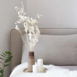 Silbertaler, Getrocknet, Lunaria, Ca. 80 Cm Lang