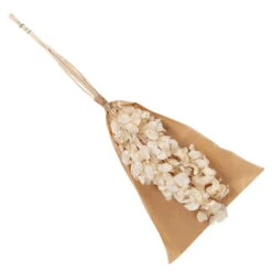 Silbertaler, Getrocknet, Lunaria, Ca. 80 Cm Lang -Garten Sicht Verkäufe 1055300008 Lunaria weiss mit Tuete 83200