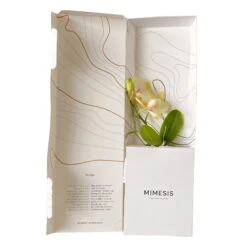 Phalaenopsis Voyage Im Geschenkkarton, Höhe Ca. 30 Cm -Garten Sicht Verkäufe 1530103136 Phalaenopsis Voyage Farbe nach Verfuegbarkeit 1 110893