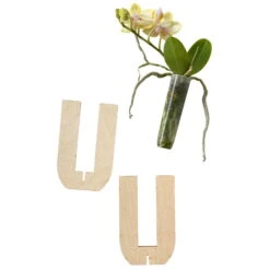 Phalaenopsis Voyage Im Geschenkkarton, Höhe Ca. 30 Cm -Garten Sicht Verkäufe 1530103136 Phalaenopsis Voyage Farbe nach Verfuegbarkeit 2 110890