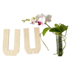 Phalaenopsis Voyage Im Geschenkkarton, Höhe Ca. 30 Cm -Garten Sicht Verkäufe 1530103136 Phalaenopsis Voyage Farbe nach Verfuegbarkeit 8 110896