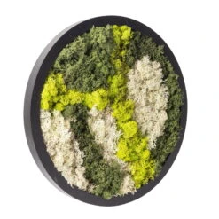 Rundes Moosbild Mit Schwarzem Rahmen, 38 Cm Ø -Garten Sicht Verkäufe 1530150084 Moosbild rund 38 cm 1 115775