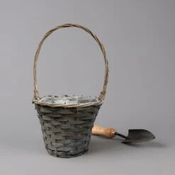 Chrysantheme Bronze Im Henkelkorb, Topf-Ø 19 Cm -Garten Sicht Verkäufe 1530200290 291 292 293 294 Chrysanthemum im Henkelkorb 19 21 1 126587