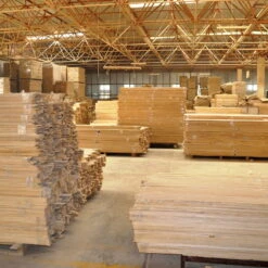 Bio Blauglockenbaum, Co2-Klimabaum 'NordMax21‘ ®, Topf-Ø 15 Cm -Garten Sicht Verkäufe 1615100163 Blu Klimabaum 4 121718