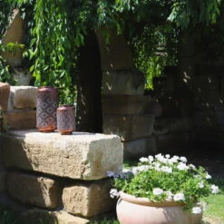 Kölle LED-Solarlaterne Adana, Gold Matt, Höhe 26 Cm, Ø 16 Cm 5 Kölle LED-Solarlaterne Adana, Gold Matt, Höhe 26 Cm, Ø 16 Cm -Garten Sicht Verkäufe 2950100472 2950100469 Adana 1 113714