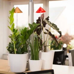 Sunlite Pflanzenlampe Kupfer, 7 Watt -Garten Sicht Verkäufe 2950200231 Sunlite Pflanzenlampe Kupfer 7W 1 60399