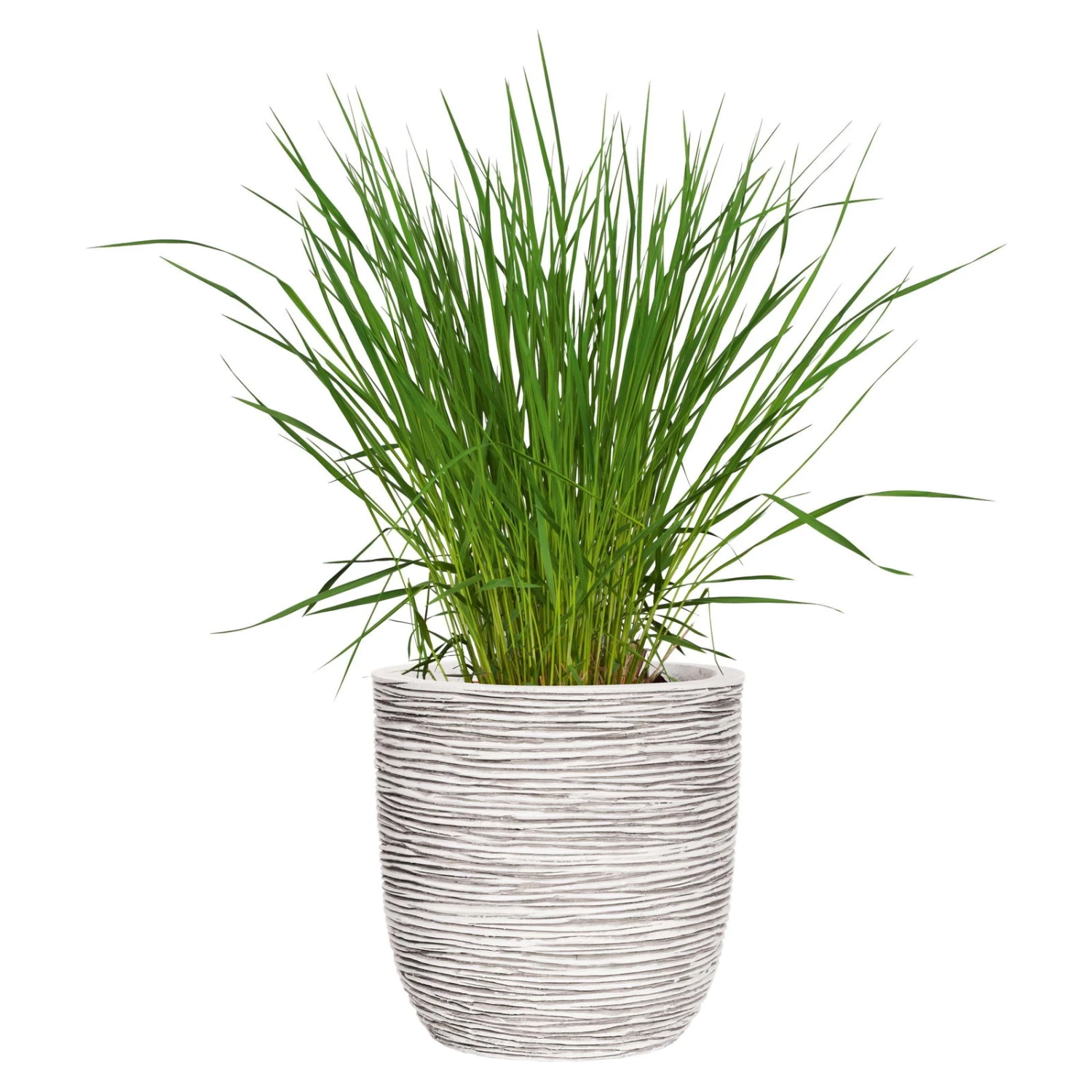 Capi Europe Pflanzgefäß Tutch Riffel Cullen, Elfenbein 2 Capi Europe Pflanzgefäß Tutch Riffel Cullen, Elfenbein – Bild 2