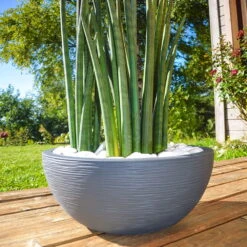 Pflanzschale Graphit Ella Anthrazit -Garten Sicht Verkäufe 3210103482 Pflanzschale Graphit Ella anthrazit 40x16 5cm 14 9l 01 48317