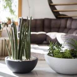 Pflanzschale Graphit Ella Anthrazit -Garten Sicht Verkäufe 3210103482 Pflanzschale Graphit Ella anthrazit 40x16 5cm 14 9l 04 48314