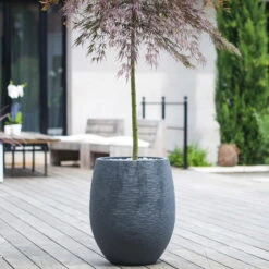 Pflanzgefäß Graphit Egg, Anthrazit, Wasserdicht, Robust -Garten Sicht Verkäufe 3210103698 Pflanzgefaess Graphit Egg anthrazit D50xH60cm 53Ltr 1 62076