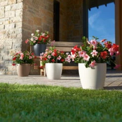 LECHUZA Pflanztopf 'Classico Color 60', Weiß, Ø 60 X H 55,5 Cm -Garten Sicht Verkäufe 3210103918 Pflanzgefaess Classico Color 60 All in 1 weiss 3 109195 1