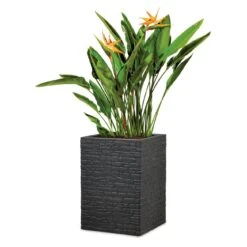 Pflanzgefäß 'Muretto High', Schwarz, L 26 X B 26 X H 60 Cm