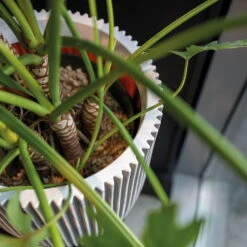 Pflanzgefäß 'Groove', Elfenbein, Ø 35 X H 34 Cm -Garten Sicht Verkäufe 3210104106 3210104107 3210104108 pflanzgefaess pflanzvase groove 116896