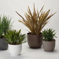 Pflanzkübel 'Rio', Rost, Ø 29 X H 24 Cm 7 Pflanzkübel 'Rio', Rost, Ø 29 X H 24 Cm -Garten Sicht Verkäufe 3210104130 3210104131 3210104132 3210104133 pflanzkuebel rio 122622 6