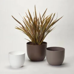 Pflanzkübel 'Rio', Taupe, Ø 34 X H 28 Cm -Garten Sicht Verkäufe 3210104131 3210104132 3210104133 pflanzkuebel rio 122625 1