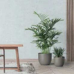 Pflanzkübel 'Rio', Taupe, Ø 29 X H 24 Cm -Garten Sicht Verkäufe 3210104133 pflanzkuebel rio 2 122629 1