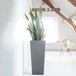 Pflanzgefäß 'Rotterdam MidHigh', Grau -Garten Sicht Verkäufe 3210104153 pflanzgefaess rotterdam high 1 117471