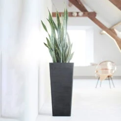 Pflanzgefäß 'Rotterdam MidHigh', Dunkelgrau -Garten Sicht Verkäufe 3210104155 pflanzgefaess rotterdam high 3 117475