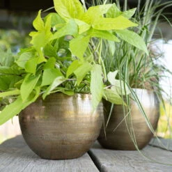 Pflanzgefäß 'Rowen', Gold, Ø 22 X H 17 Cm -Garten Sicht Verkäufe 3210801609 Pflanzgefaess Rowen gold D 22 x H 17 cm 1 114969